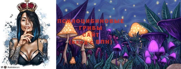 таблы Верхний Тагил