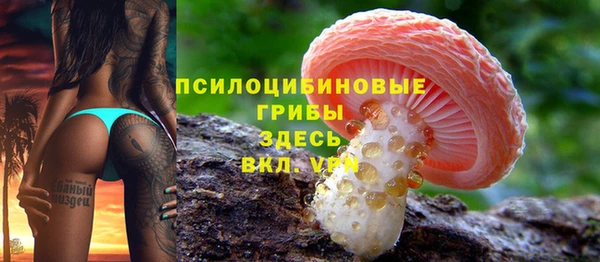 таблы Верхний Тагил