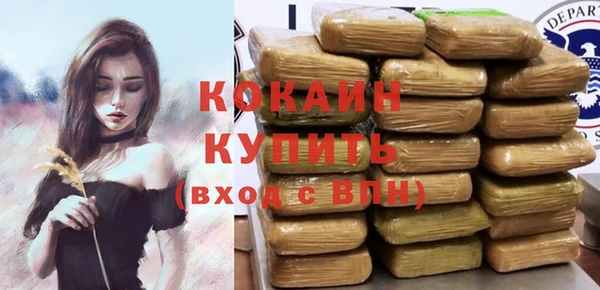 дмт Верея