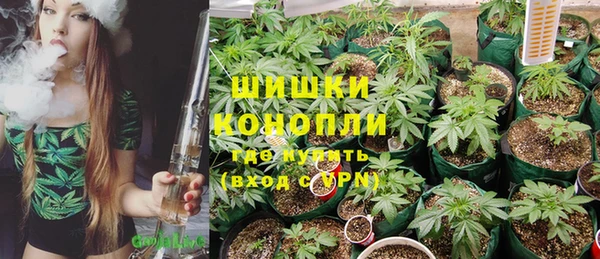 дмт Верея